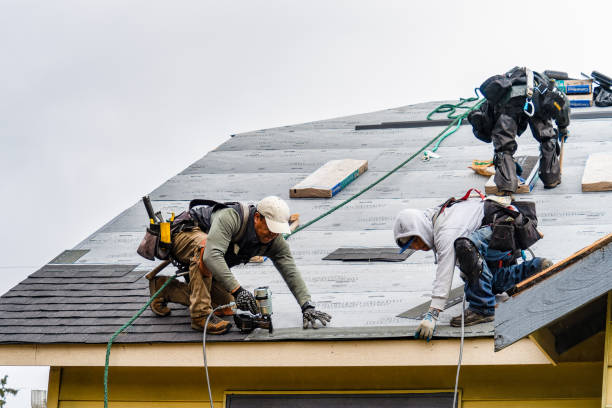 Professional Gutter Installation technician working in North East, PA